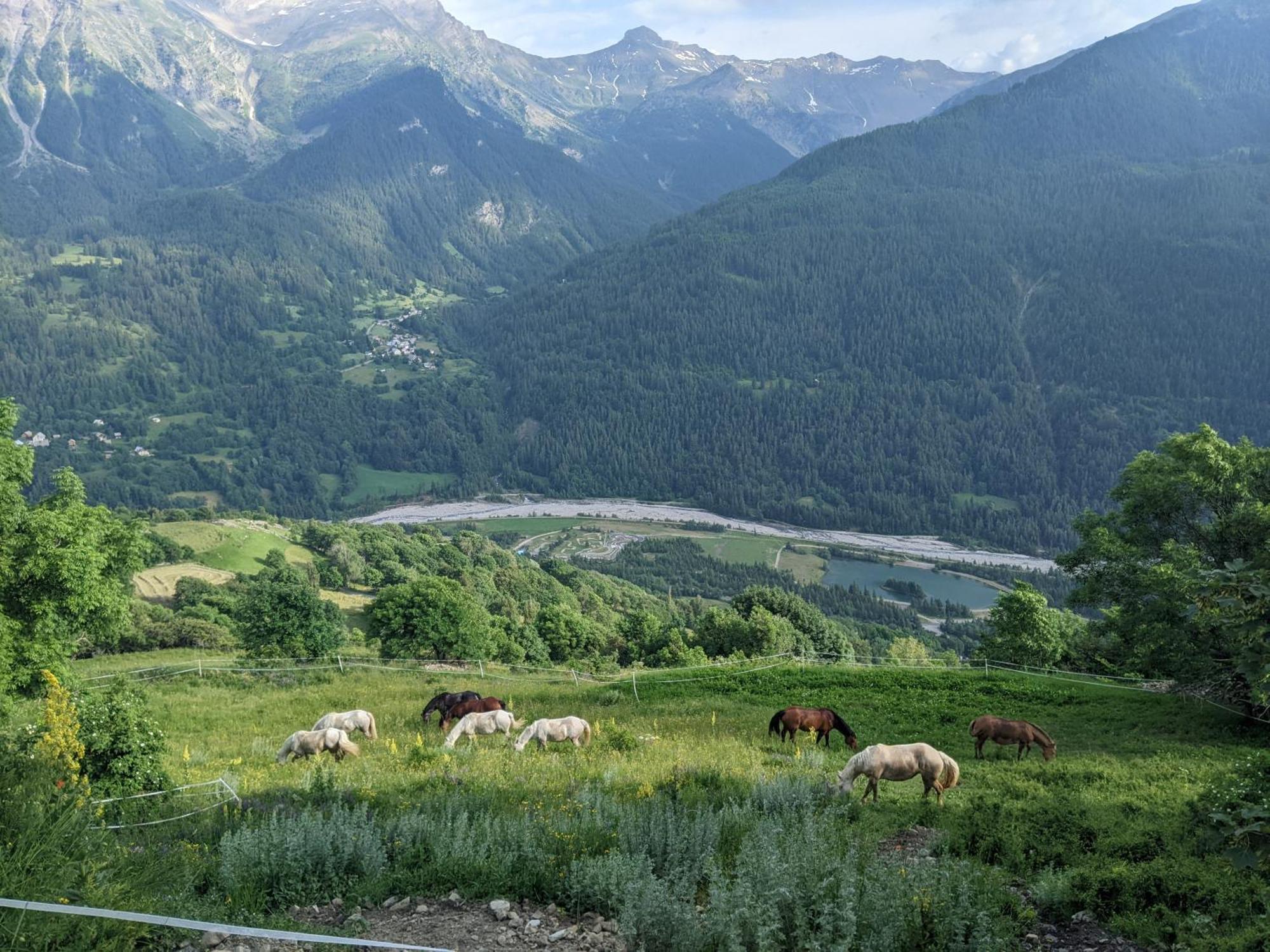 Gite Du Bois De L'Ours Orcières Kültér fotó